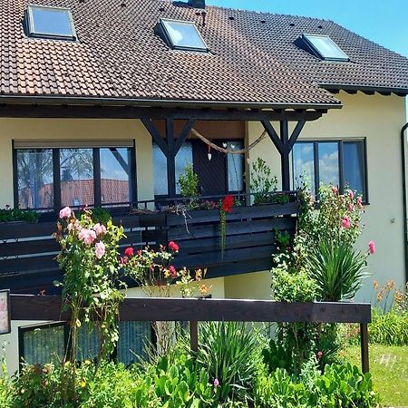 Gaestehaus Gaby Бад-Беллинген Экстерьер фото